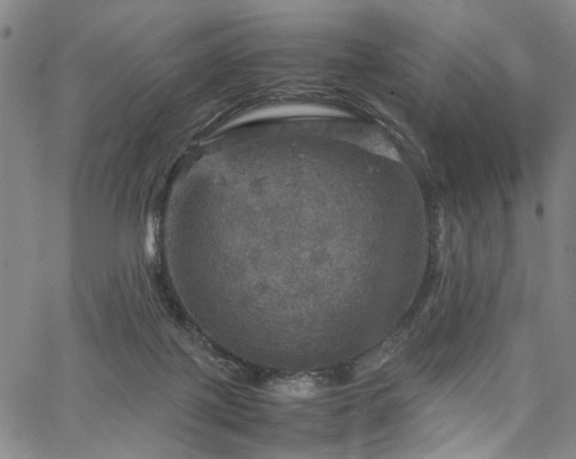 X0000067890075200604201320