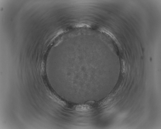 X0000067890077200604201320