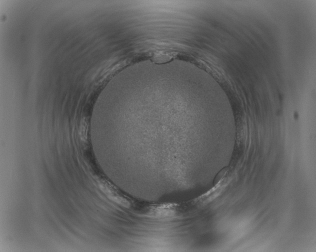 X0000067890078200604201320