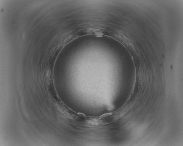 X0000067890079200604201320