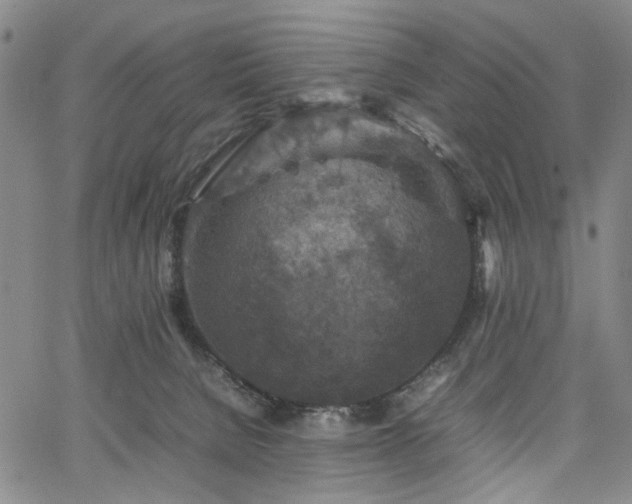 X0000067890080200604201320