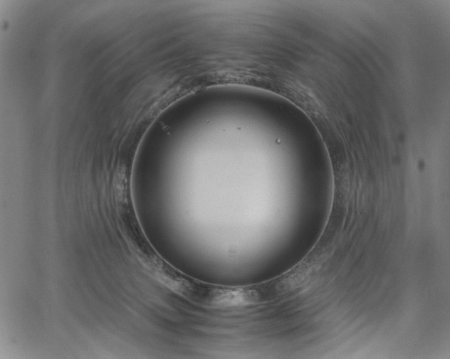 X0000067890083200604201320