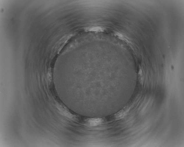 X0000067890085200604201320