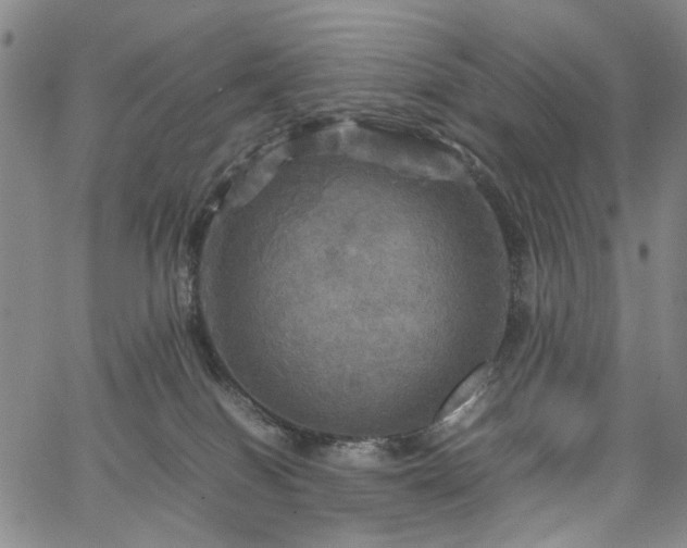 X0000067890086200604201320