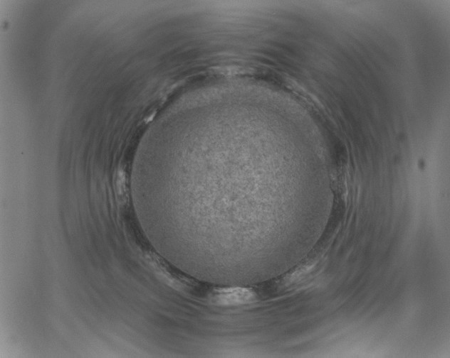 X0000067890087200604201320