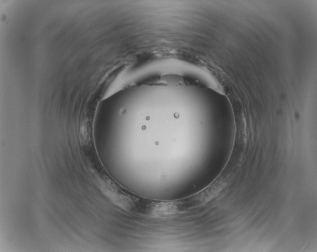 X0000067890088200604201320