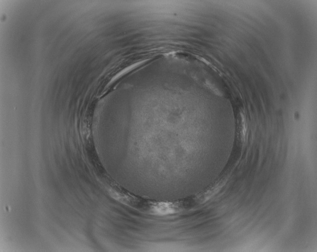 X0000067890091200604201320