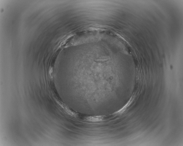 X0000067890094200604201320