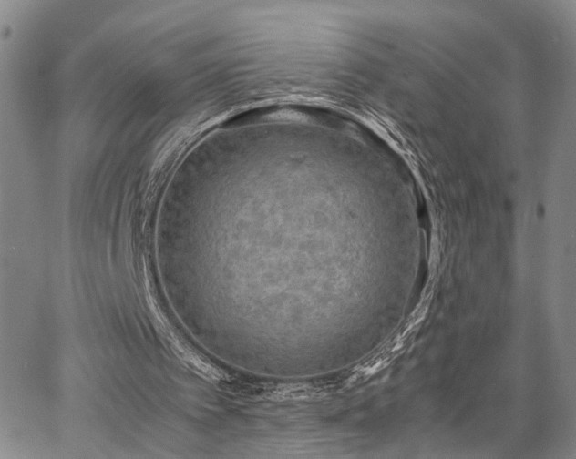 X0000067890097200604201319