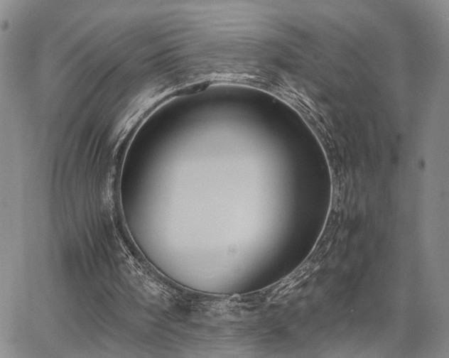 X0000067890098200604201319