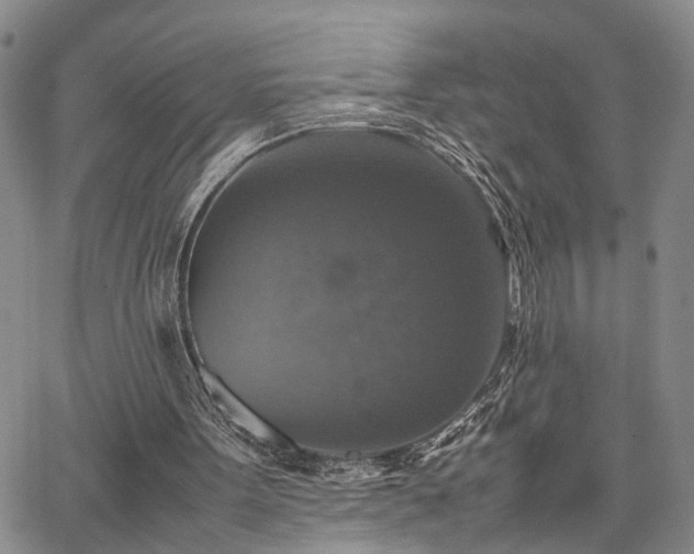 X0000067890099200604201319