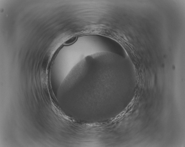 X0000067890100200604201319