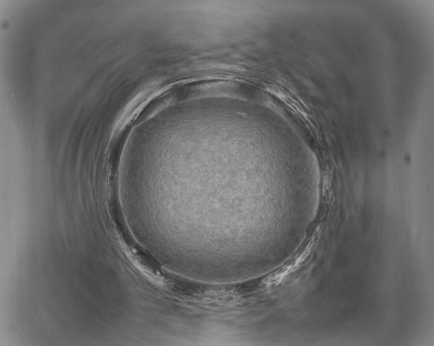 X0000067890101200604201319