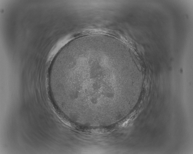 X0000067890103200604201319