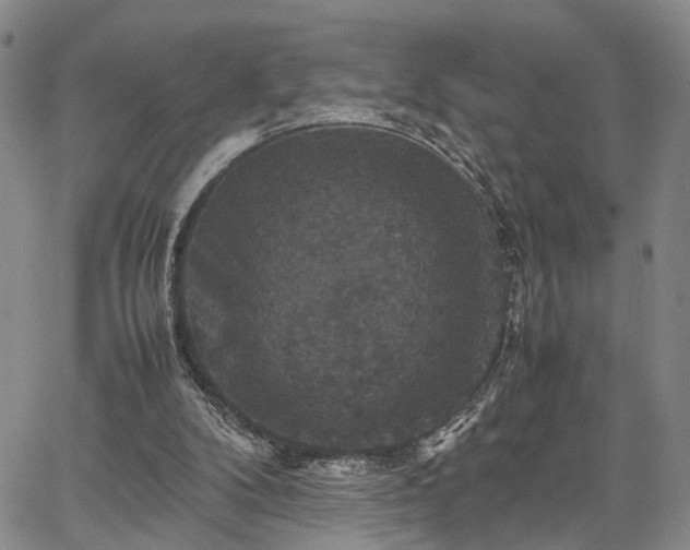 X0000067890104200604201319