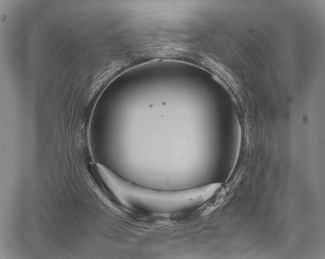 X0000067890105200604201319