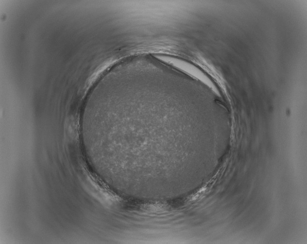 X0000067890107200604201319