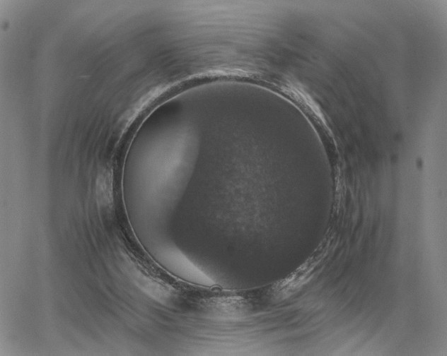 X0000067890108200604201319