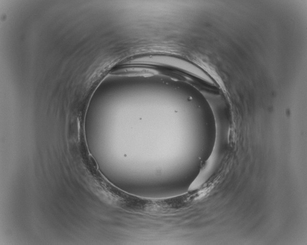 X0000067890109200604201319