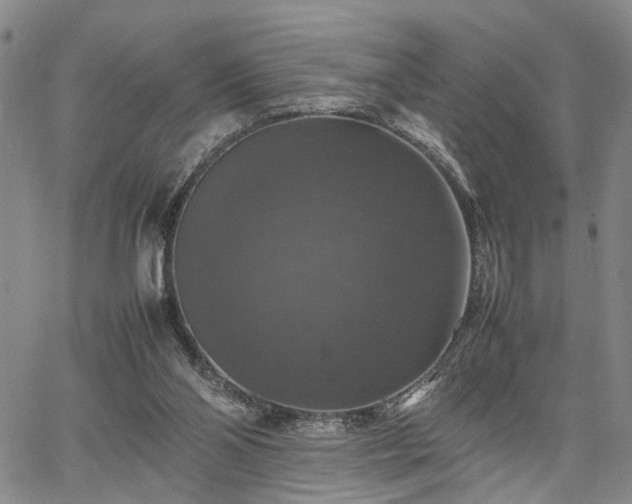 X0000067890110200604201319