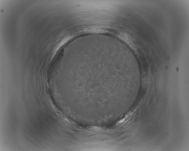 X0000067890111200604201319