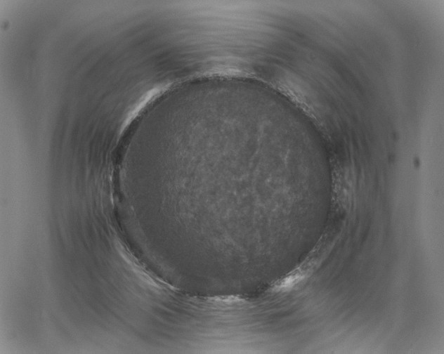 X0000067890112200604201319