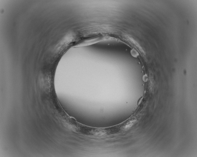 X0000067890113200604201319