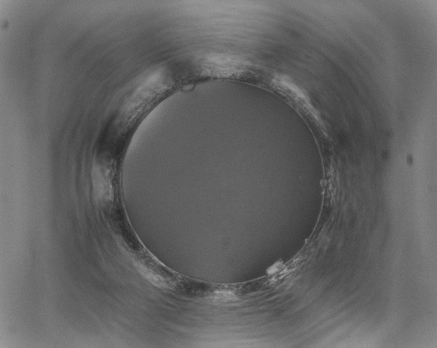 X0000067890114200604201319