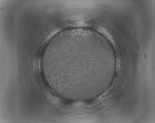 X0000067890115200604201319