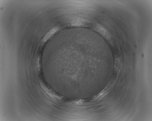 X0000067890116200604201319