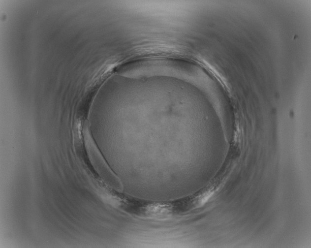 X0000067890117200604201319