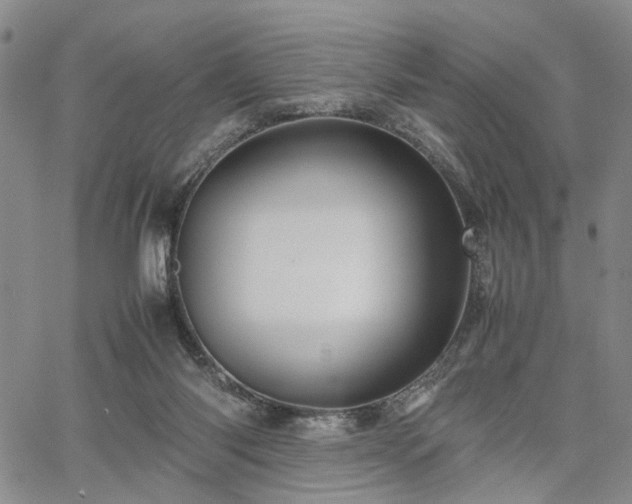 X0000067890118200604201319