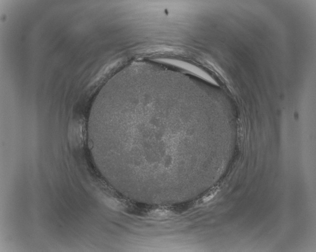 X0000067890119200604201319