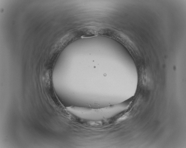 X0000067890121200604201319