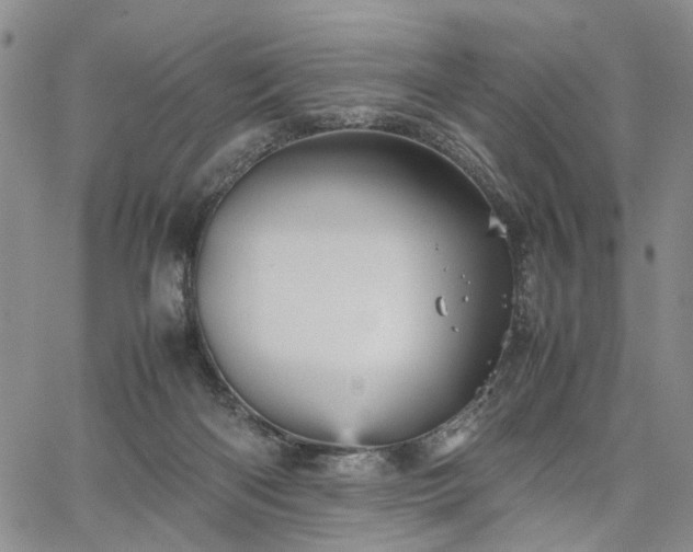 X0000067890122200604201319