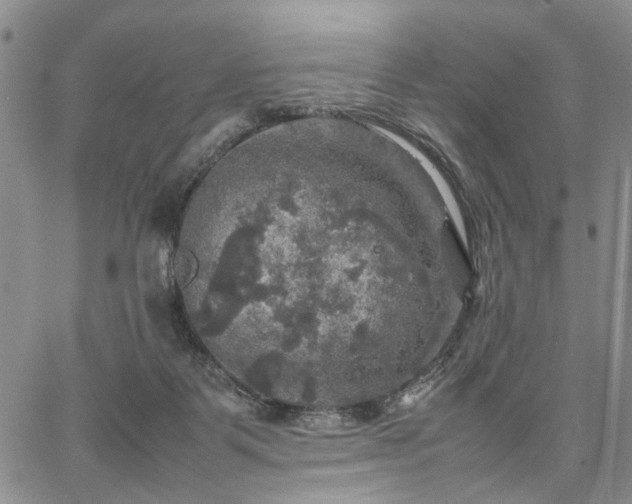 X0000067890123200604201319