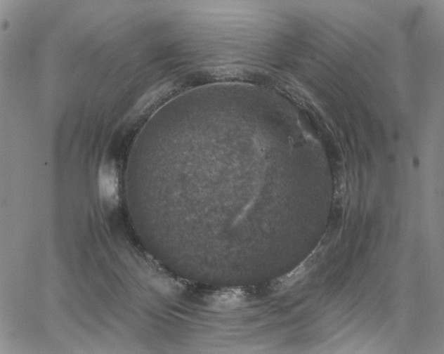 X0000067890124200604201319