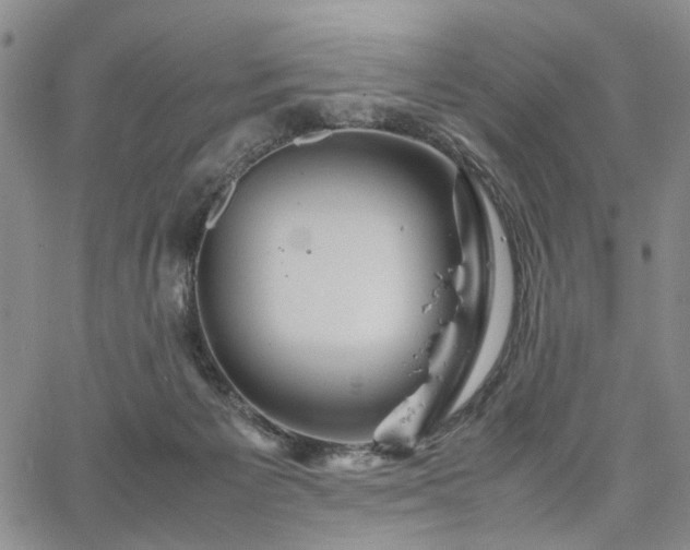 X0000067890125200604201319