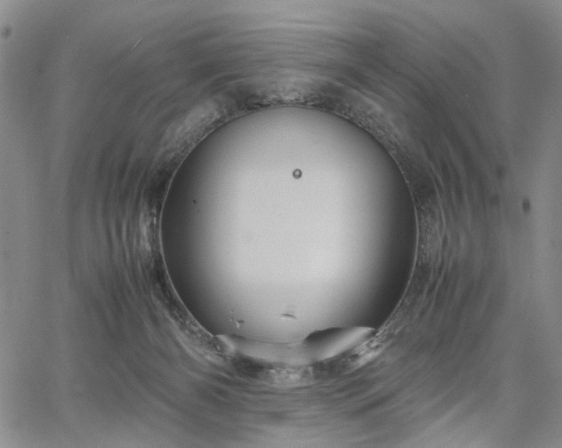 X0000067890126200604201319