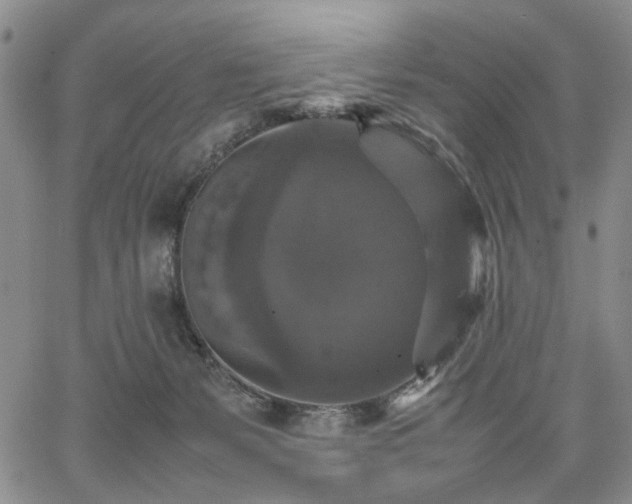 X0000067890127200604201319