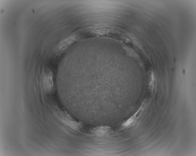 X0000067890128200604201319