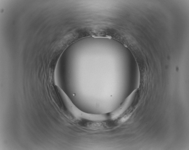 X0000067890129200604201319