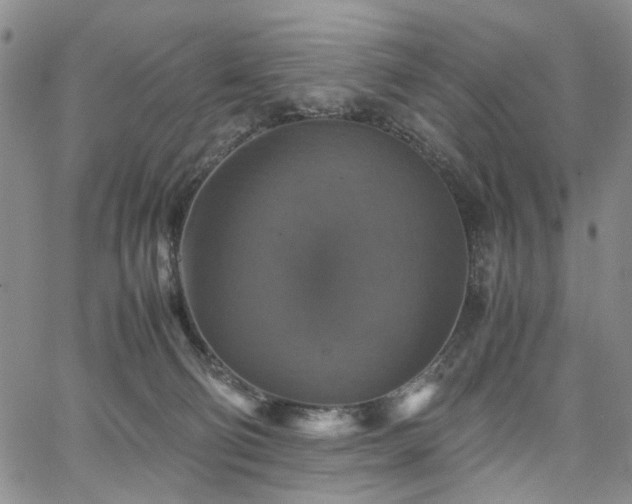 X0000067890130200604201319