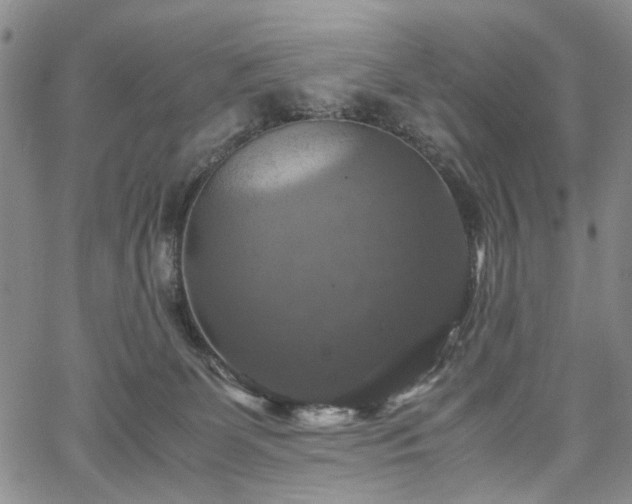 X0000067890131200604201319