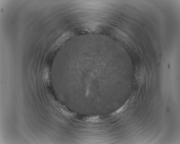 X0000067890132200604201319