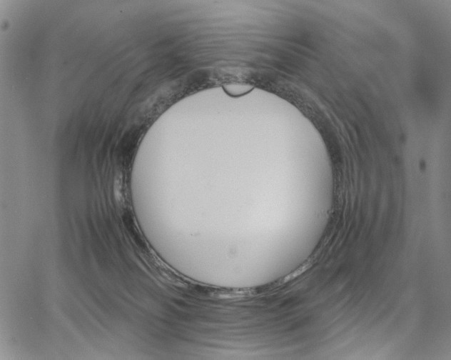 X0000067890134200604201319