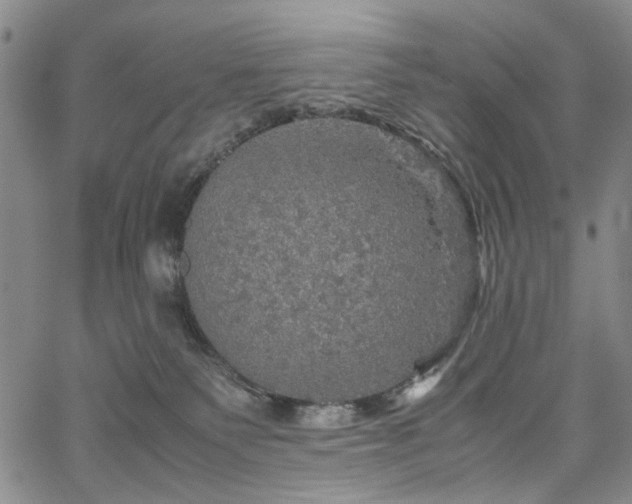 X0000067890135200604201319