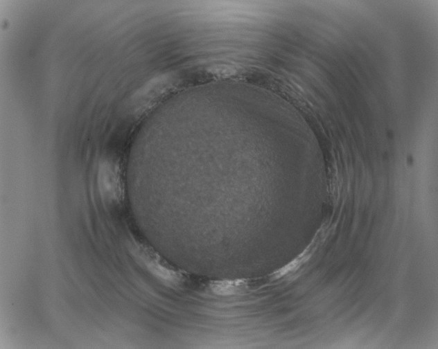 X0000067890136200604201319