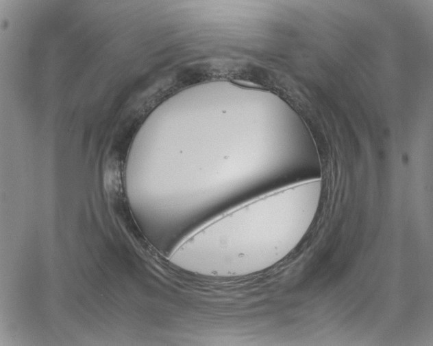 X0000067890137200604201319