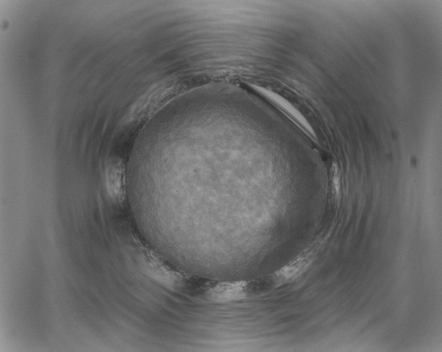 X0000067890138200604201319